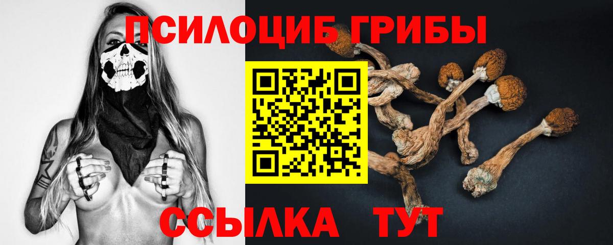 Псилоцибиновые грибы мухоморы Черкесск